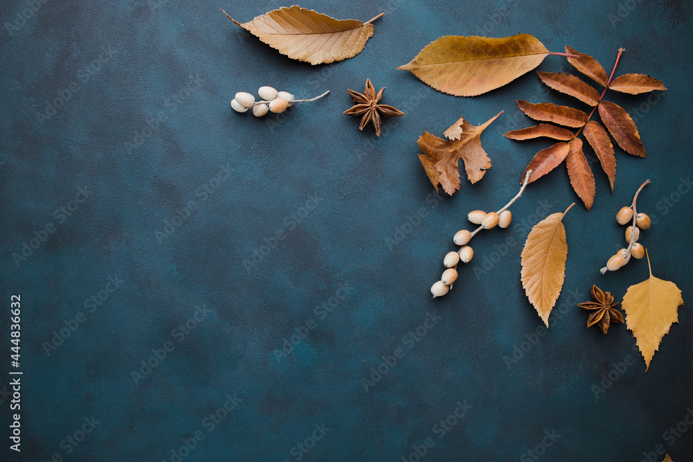 Autumn vibes template made of dried leaves Autumn vibes template made of dried leaves