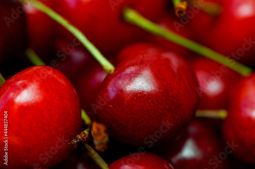 Tortellini pasta background. Natural food, farm products concept.