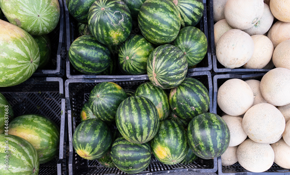 Watermelons and cantaloupe on display in farmer's market for sale.
