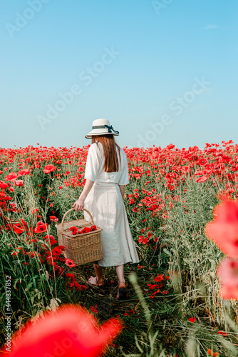 The girl in the poppies