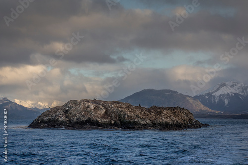 Centered photo of a  little desertic island with sea animals including cormorants, sea wolves and seals and snowed mountains in the background in Ushuaia, Tierra del Fuego, Argentina © Sebastian