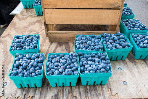 Cartons of fresh blueberries for sale at Farmer's Market.