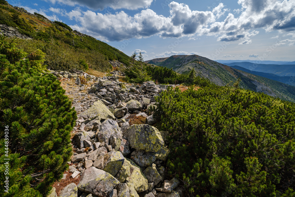 Summer Carpathian mountains view. Stony Gorgany massif, Ukraine.