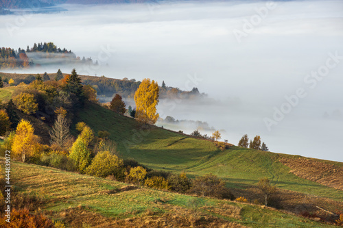 Morning foggy clouds in autumn mountain countryside.  Ukraine, Carpathian Mountains, Transcarpathia. photo