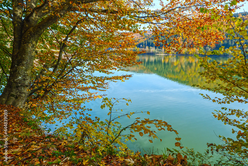 Vilshany water reservoir on the Tereblya river, Transcarpathia, Ukraine. Picturesque lake with clouds reflection. Beautiful autumn day in Carpathian Mountains. photo