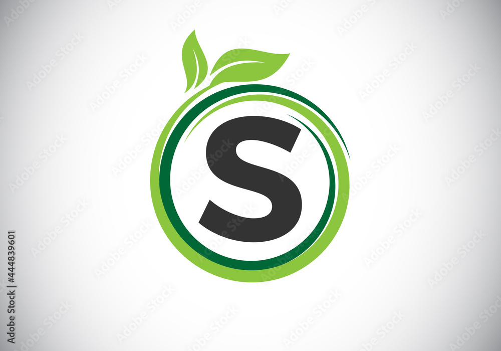 Initial S monogram letter alphabet in a spiral with green leaves. Font emblem. Nature icon sign symbol. Modern vector logo design for business healthcare, nature, farm, and company identity. Initial S monogram letter alphabet in a spiral with green leaves. Font emblem. Nature icon sign symbol. Modern vector logo design for business healthcare, nature, farm, and company identity.
