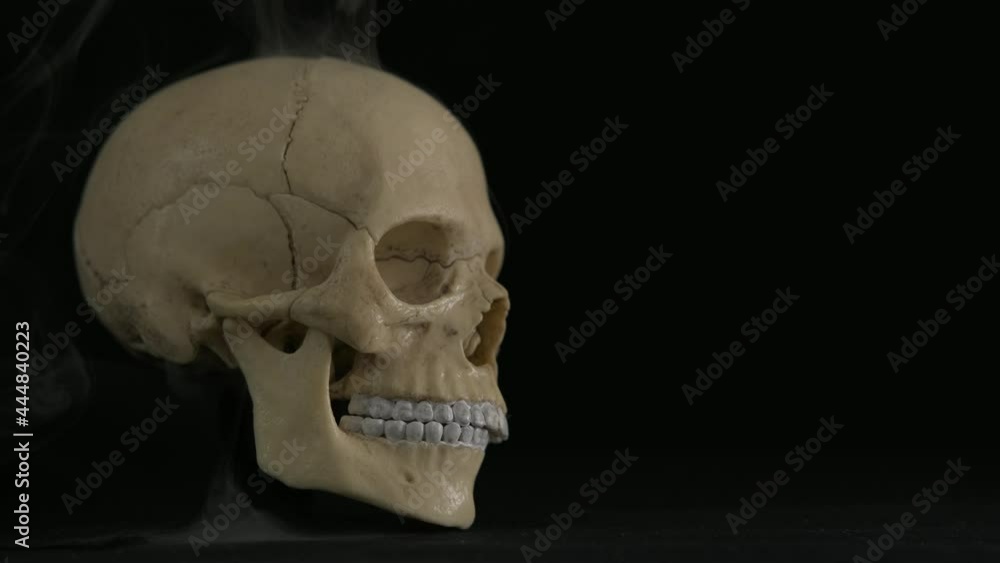 Mexican festival with skull. A human skull is a symbol of a death party in Mexico. Mexican festival with skull. A human skull is a symbol of a death party in Mexico.