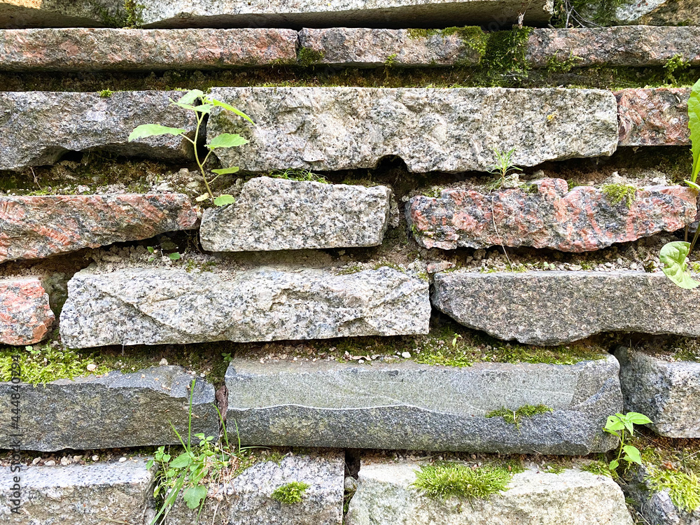 Background of old overgrown tiles in close-up. Texture of overgrown stone Background of old overgrown tiles in close-up. Texture of overgrown stone