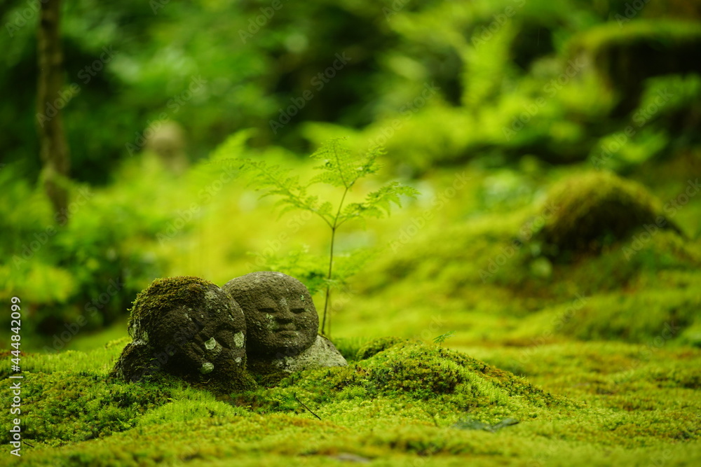 Fototapeta premium Smiled stone statue in japanese moss garden of Sanzenin, Kyoto
