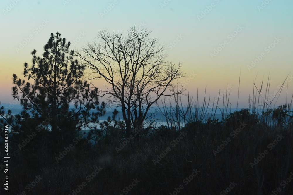 Obraz premium ametista do sul