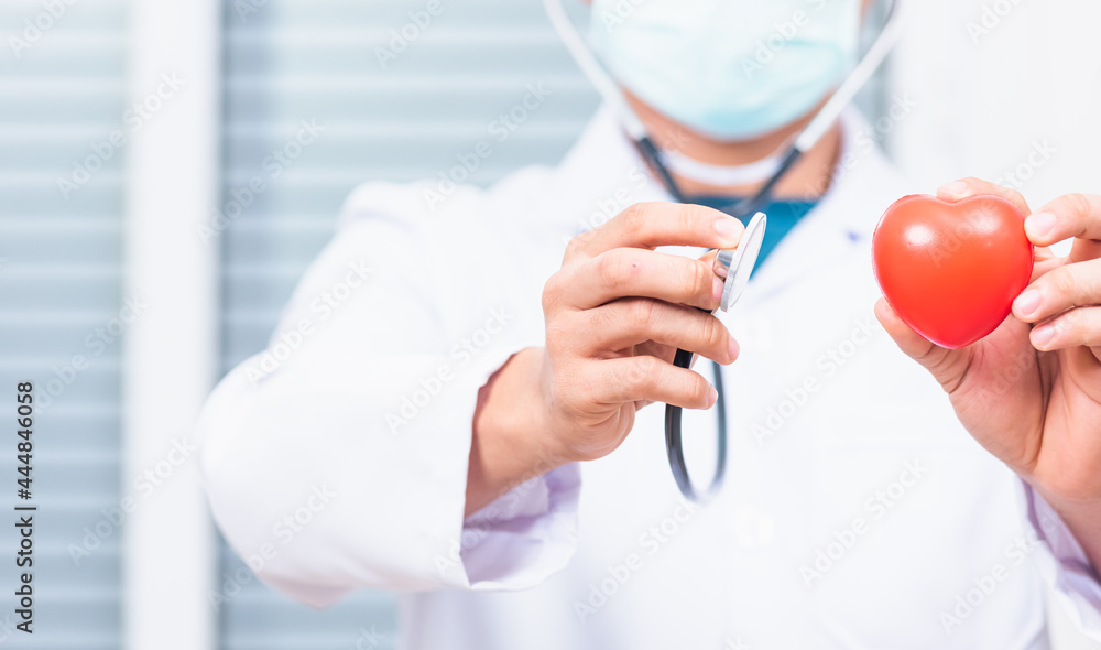 Closeup of doctor man wearing white coat standing holds his stethoscope on hand for listening examining red heart, person showing medical equipment Closeup of doctor man wearing white coat standing holds his stethoscope on hand for listening examining red heart, person showing medical equipment