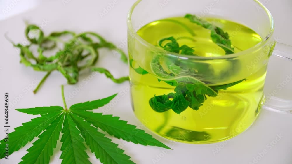 A glass of hot marijuana tea on the table. Cannabis herbal tea with dried leaves. A glass of hot marijuana tea on the table. Cannabis herbal tea with dried leaves.