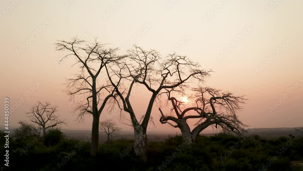 Traveling up pass to, drone 4k ,sunset in Africa, Angola, Africa 11 Traveling up pass to, drone 4k ,sunset in Africa, Angola, Africa 11