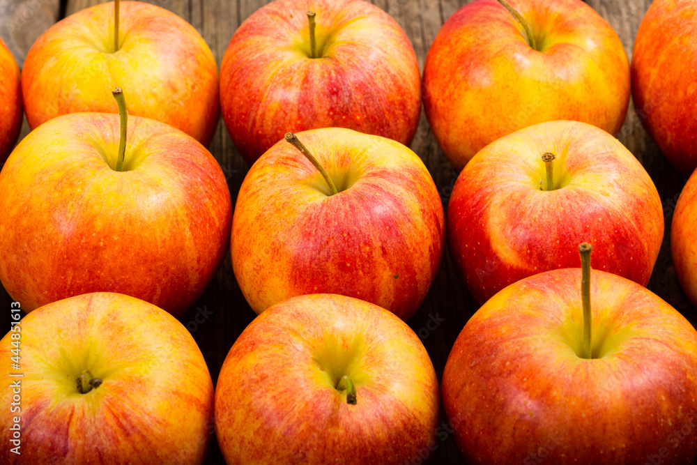 apple fruits in a row, old weathered wood table background apple fruits in a row, old weathered wood table background
