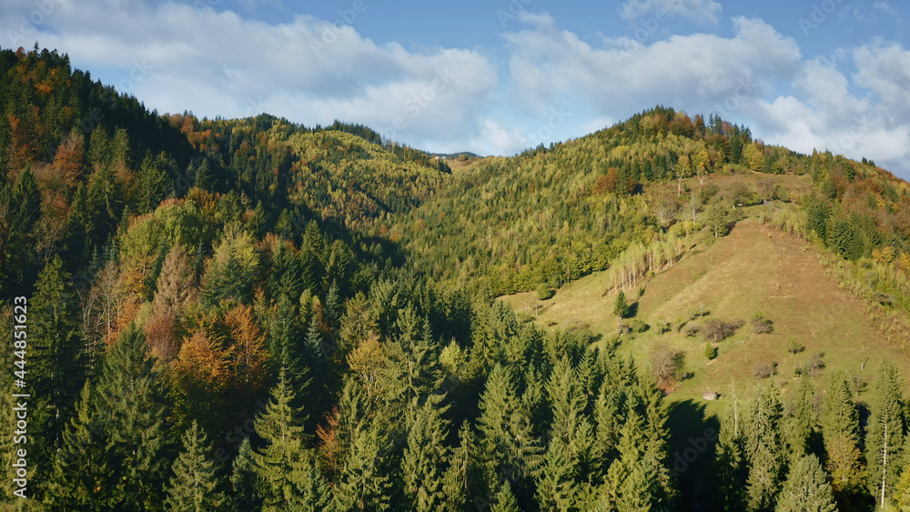Mountain ridges with pine trees forest. Nobody nature landscape at autumn. Green plants and grass at mount ranges. Cinematic mountaineering at sun light drone shot. Carpathians, Ukraine, Europe Mountain ridges with pine trees forest. Nobody nature landscape at autumn. Green plants and grass at mount ranges. Cinematic mountaineering at sun light drone shot. Carpathians, Ukraine, Europe