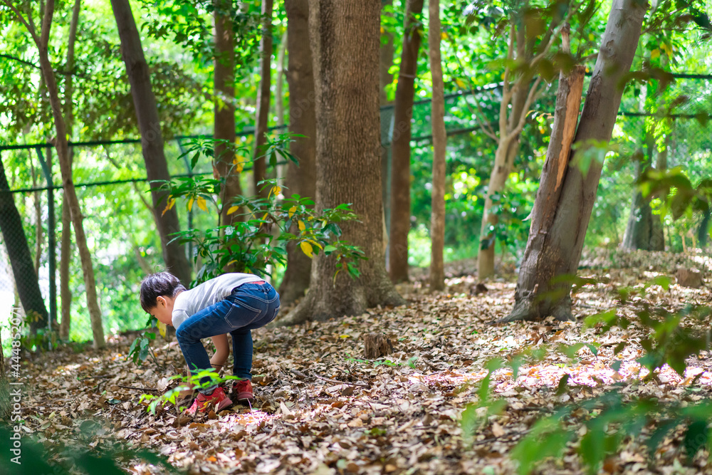 山で遊ぶ小さな男の子 山で遊ぶ小さな男の子