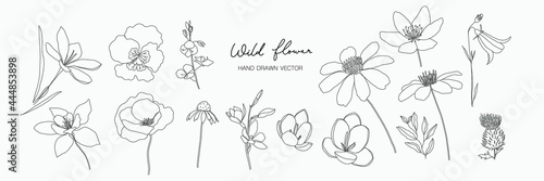 minimal botanical graphic sketch line art drawing, trendy tiny tattoo design, floral elements vector illustration