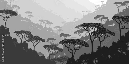 Mountain gorge with rainforest, black and white landscape 
