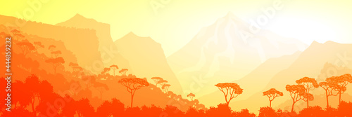 Mountain gorge in morning light, rainforest, panoramic view