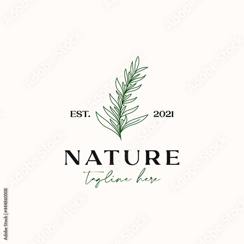 Tea Tree Monoline Vintage Hipster Logo Template Isolated in White Background