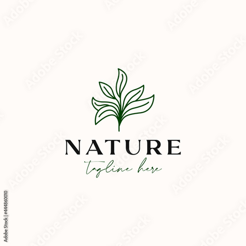 Tea Tree Monoline Vintage Hipster Logo Template Isolated in White Background