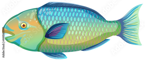 Parrotfish in cartoon style isolated on white background