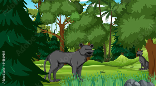 Black panther in forest scene with many trees