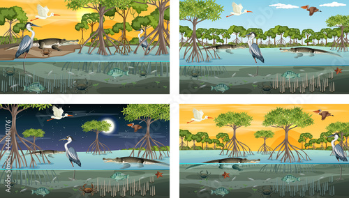 Different mangrove forest landscape scenes with animals