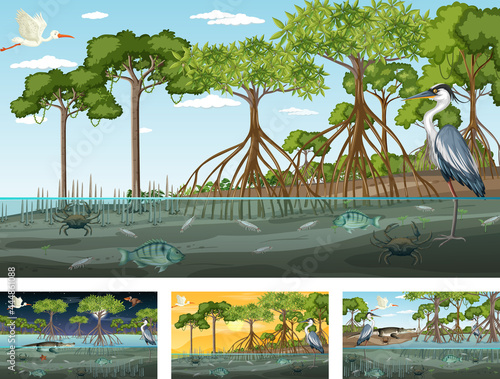 Different mangrove forest landscape scenes with various animals