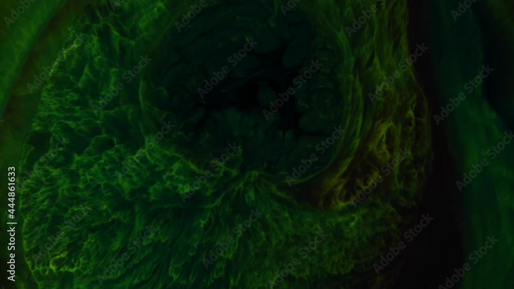 Ominous, pulsing dark-green expands and takes over, pushing lovely lacy green away - an all natural AbstractVideoClip Ominous, pulsing dark-green expands and takes over, pushing lovely lacy green away - an all natural AbstractVideoClip