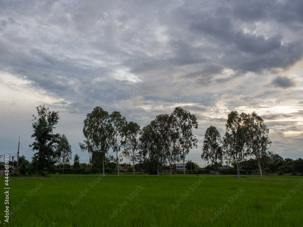 clouds sky landscape nature background. spring season green grassland, green rice field with dramatic dark cloud in cloudy sunny day. weather forecast before rain.