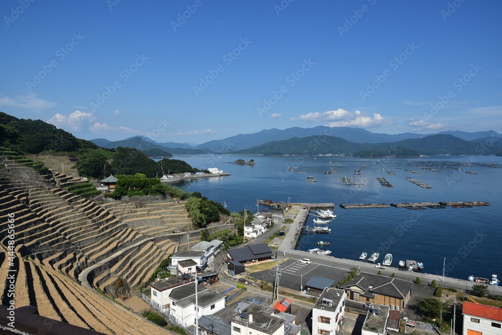 Fototapeta premium 遊子水荷浦段畑