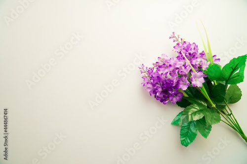 Minimalist Beautiful Flower On White Background using For Background