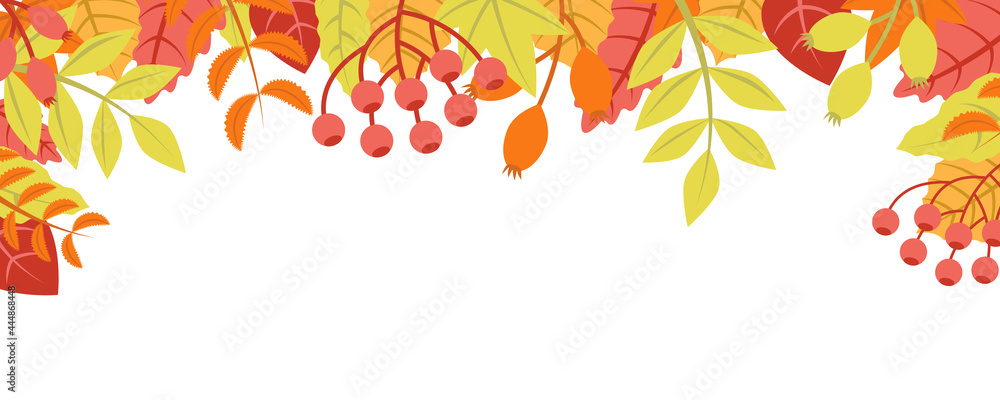 Autumn nature background with leafage pattern concept. Horizontal web banner with orange, red and yellow leaves and berries elements. Cute plants border. Vector illustration in flat design for website