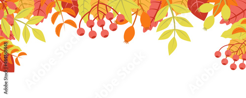 Autumn nature background with leafage pattern concept. Horizontal web banner with orange  red and yellow leaves and berries elements. Cute plants border. Vector illustration in flat design for website