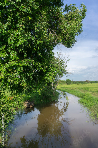 Waterways man-made to suply rice fields with water for crop production Making small nature reserves for native animals photo