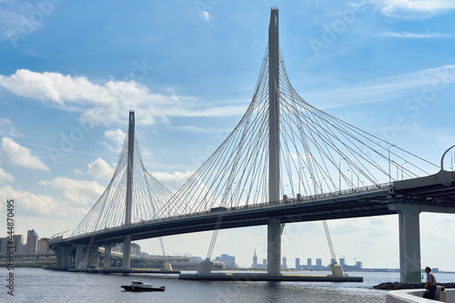 Cable-stayed bridge over the Petrovsky fairway in St. Petersburg