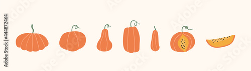 Set of autumn pumpkins, butternut squash and gourd of different shape and sizes, cutted slice and whole. Seasonal fall harvest. Halloween orange vegetables. Colored flat vector illustration on white.