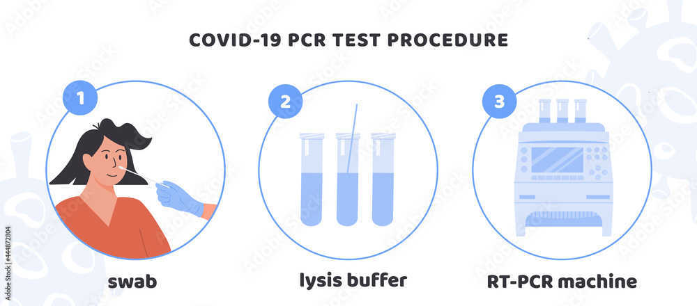 Covid-19 test procedure Infographic. A doctor or nurse in latex gloves ...