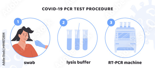 Covid-19 test procedure Infographic. A doctor or nurse in latex gloves takes nasal swab test. Woman doing Coronavirus testing. Swap sample in lysis buffer and RT PCR machine. Vector Illustration.