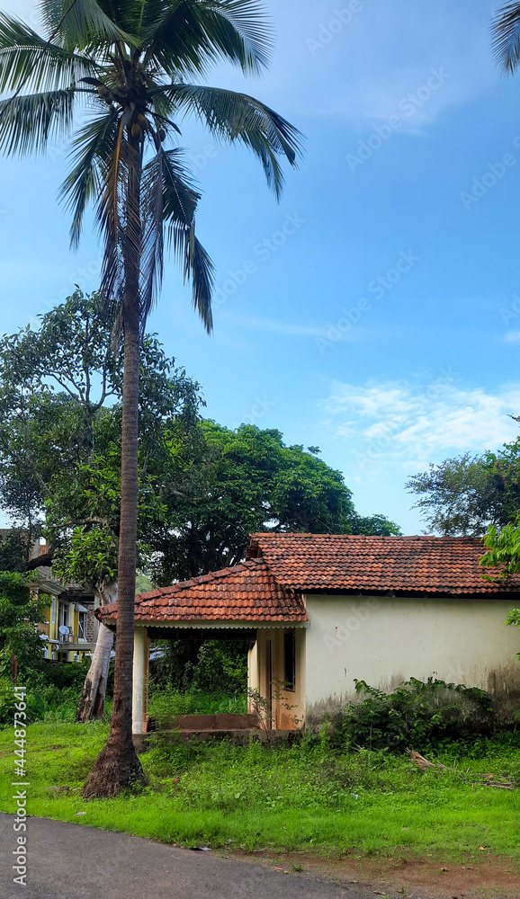 Coastal Village House Next to Coconut Tree