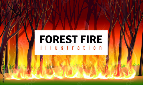 forest fire in illustration, in vector