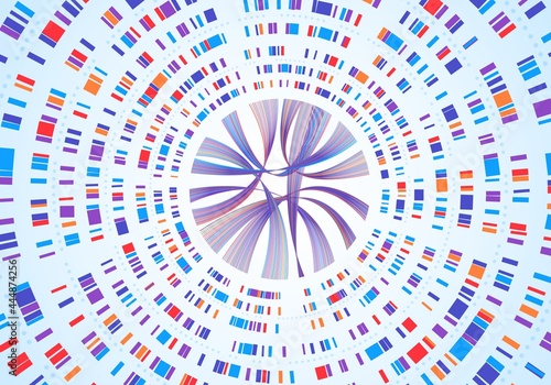 Genome infographic. Dna sequence visualization, genetic mapping, gene barcoding. Abstract chromosome map diagram, genetics analysis vector concept. Circular network colorful structure photo