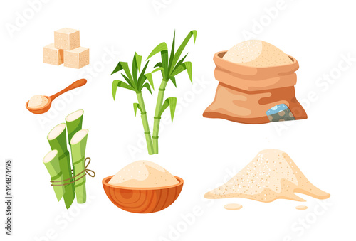 Collection of cane sugar. Sugarcane products. Growing sweet plants on plantation. Manufacturing packaging natural organic harvest. Package with cube and dry loose delicious carbohydrate cartoon vector