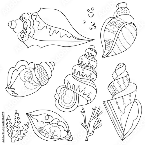Contour linear illustration with shell set. Cute shells, anti stress picture. Line art design for adult or kids  in zentangle style and coloring page.