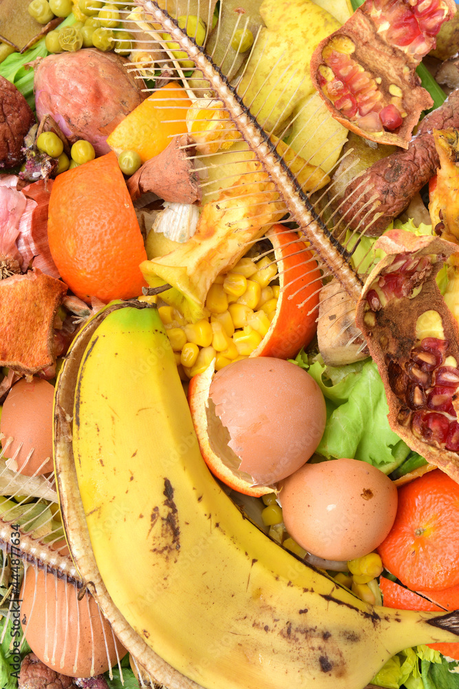detail of composting fruits, vegetables, fish ....