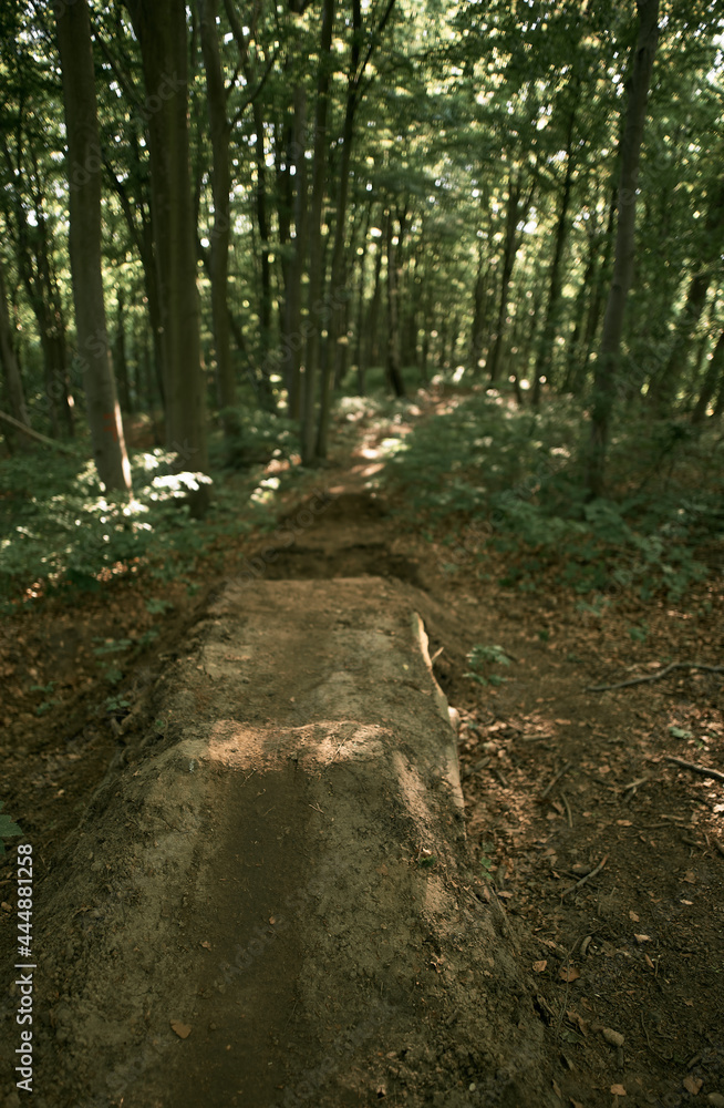 Fototapeta premium Trampoline in the woods. Extreme bicycle riding in the forest. Man-made hump made of dirt, sand and cutted wood.
