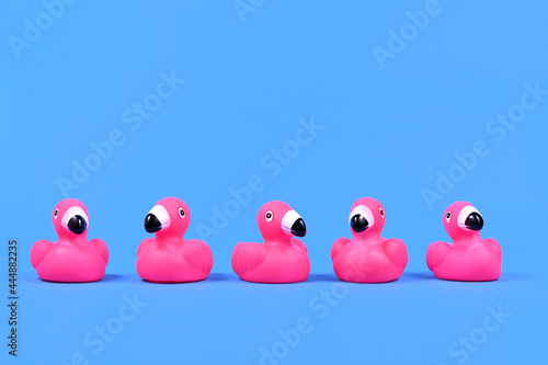 Fotografie Pink rubber duck flamingos in a row on blue background with copy space