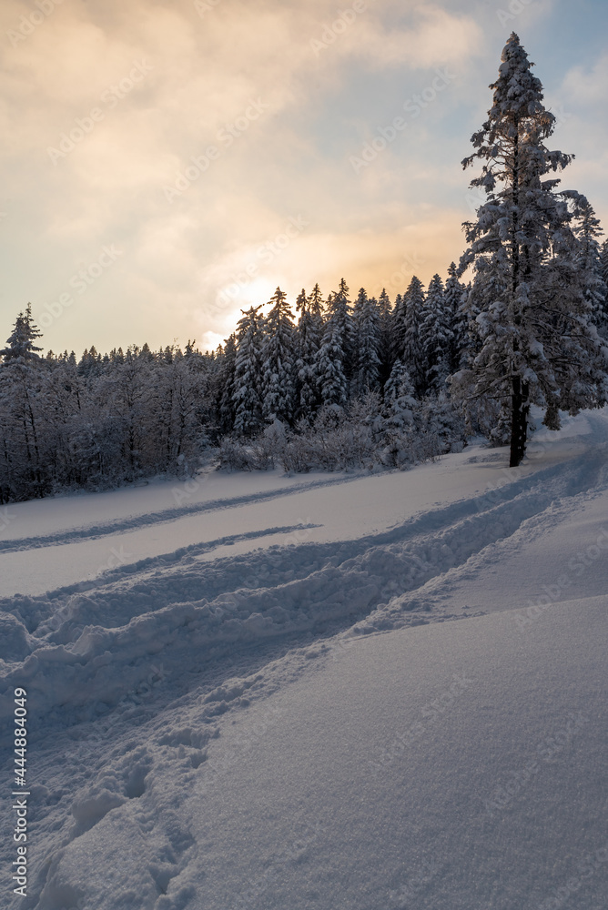 Winter mountains with snowcapped hiking trail, frozen trees and blue sky with clouds Winter mountains with snowcapped hiking trail, frozen trees and blue sky with clouds