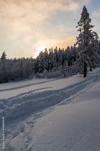 Winter mountains with snowcapped hiking trail, frozen trees and blue sky with clouds